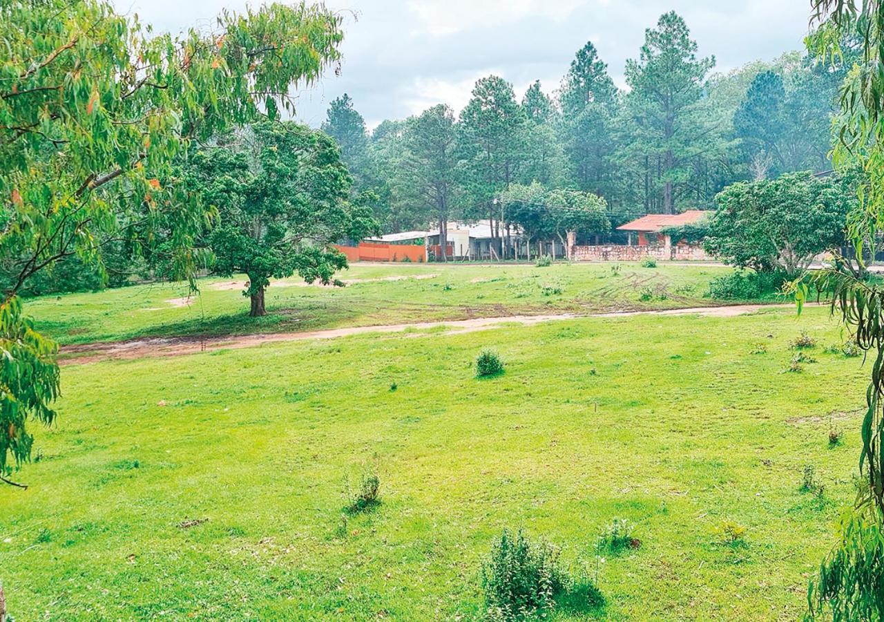 Hotel Cocoview, Bar & Restaurante Valle de Angeles Luaran gambar